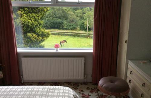 Belfast House | Hallmount House - Belfast