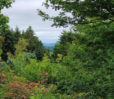 Moretonhampstead House | Halls Cleave, Woodland Retreat, Moretonhampstead, Dartmoor