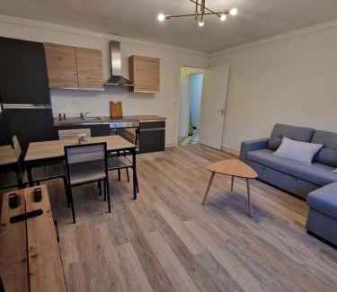 Chateaudun Apartment | Halte Douillette au cœur de la Ville