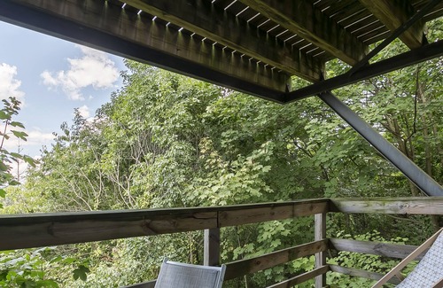 La Demi - Lune Apartment | Hamac Suites - City Suites Jungle 2