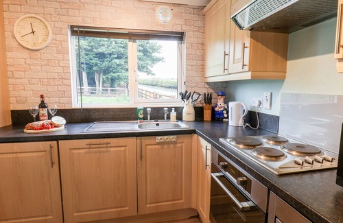Saltburn-by-the-Sea Cottage | Handale Banks Farm Lodge