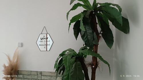 Medijana Apartment | Happy Star