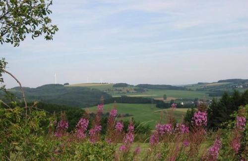 Schoenecken Resort | Haus 1 - Typ C (kombiniert)