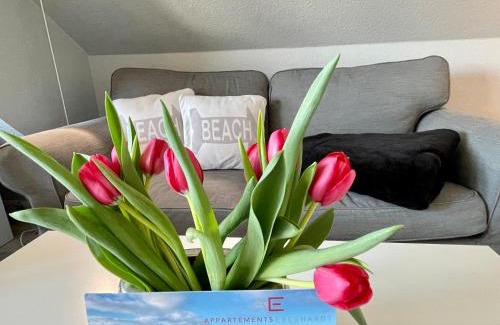 Tinnum Apartment | Haus Eberhardt Appartement 2