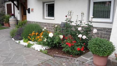 Tramin House | Haus Evi