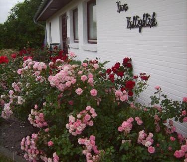 Dagebuell Apartment | Haus-Halligblick-Ferienwohnung-Hamburger-Hallig