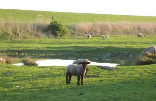 Dagebuell Apartment | Haus Halligblick, Ferienwohnungen am Wattenmeer, Whg Hamburger Hallig