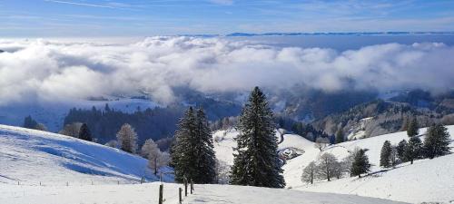 Munstertal Apartment | Haus Sattelgrund