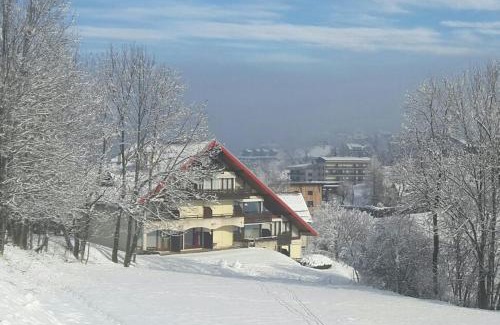 Villard-de-Lans Apartment | haut de chalet 6 P villard de lans