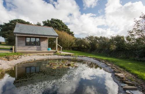 Wadebridge Other | Hawk's Nest