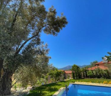 Yesiluzumlu Villa | Hayat agaci villas