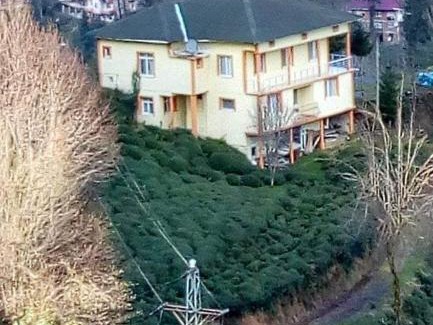Cayeli House | Haytef Erenler Konut