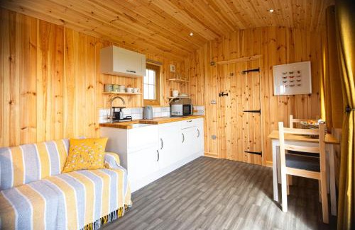 Pentrefelin Cabin | Head For The Hills Glamping - Shepherd's Hut