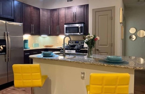 Astrodome Apartment | Heart of NRG and Medical Center