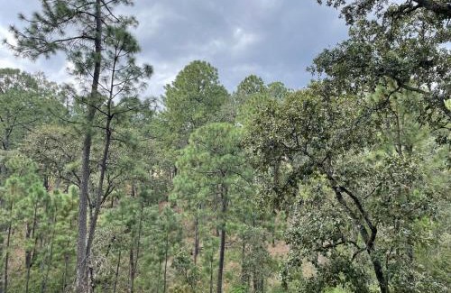 Tapalpa Ski Chalet | Heart of the Forest