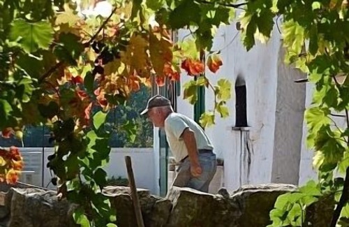 Ostuni House | Heavenly Trulli Near Martina Franca With Orchard Located In Secluded Hamlet.