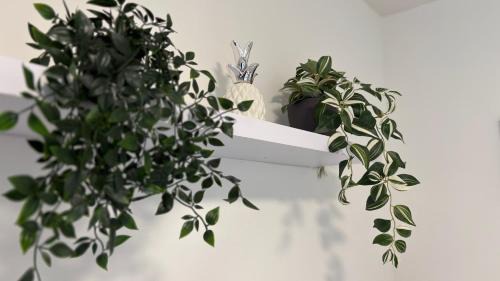 Kulmbach Apartment | Helle gemütliche 3-Zi-Whg mit Terrasse und Gartenzugang