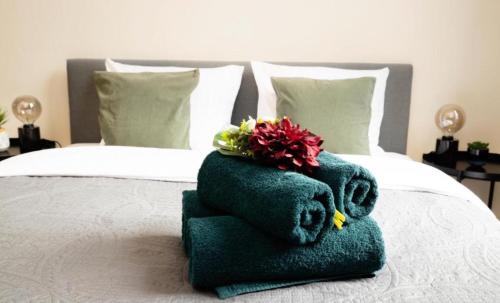 Historisch centrum Apartment | Herberg Sint jan