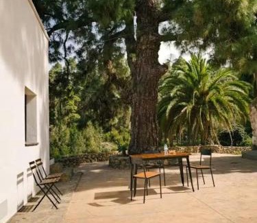 La Guancha House | Hermosa casa con vistas al jardin