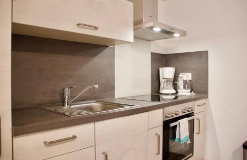 Zweibruecken Apartment | Herzog Wolfgang Studios- Zentral, Modern, Freundlich