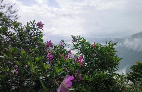 Devikolam Hotel | Heven of Breeze Idukki