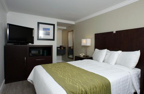 East Manhattan Beach Hotel | Hi View Inn & Suites