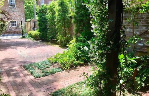 Historic Downtown Savannah Apartment | Hidden Gem in the Historic District - Great Value