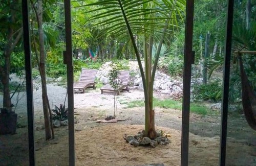 Soliman Bay Cabin | Hidden Oasis Jungle
