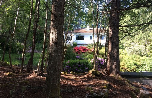 Glenborrodale Cabin | Hideaway Cottage privately set in 1 Acre of Wooded grounds on Ardnamurchan Penn
