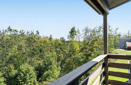 Harbor Springs Condo | Hideaway Valley #3: 3 BR, 2.5 BA Condominium in Harbor Springs, Sleeps 6