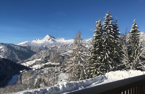 Notre-Dame-de-Bellecombe Ski Chalet | high-end chalet of 320 m2 sleeps 18 with spa