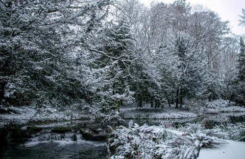 Driffield Hotel | HIGHFIELD