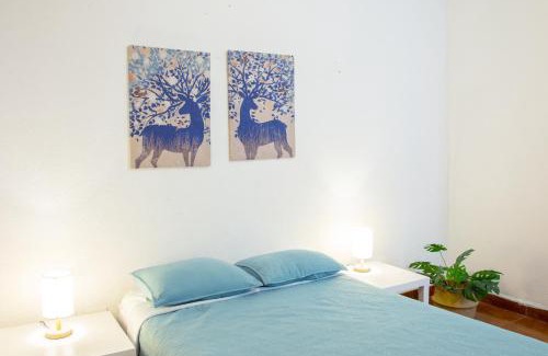 San Miguel Apartment | Hikuri House