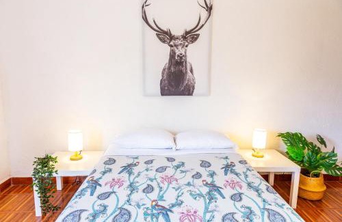 San Miguel Apartment | Hikuri House