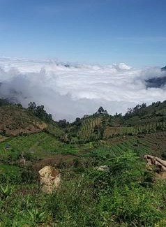 Kodaikanal House | Hill crest kodaikanal