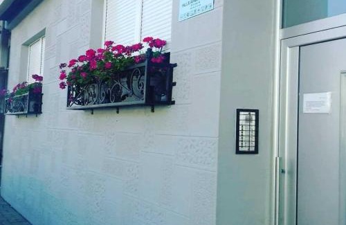 Vrsac Apartment | HILLS Apartments