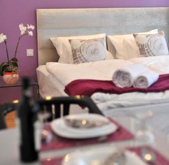 Torokvesz Apartment | Hillside Premium Apartments