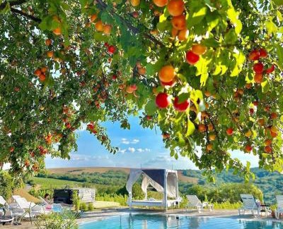 Neszmely Hotel | Hilltop Borbirtok & Étterem