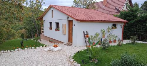Szentendrei House | Hilltop Cottage in Szentendre, mountain view, terrace, garden