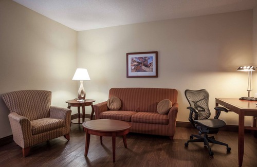 El Paso Hotel | Hilton Garden Inn El Paso/University