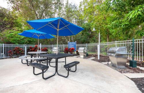 Florida Central Atlantic Coast Resort | Hilton Vacation Club Cypress Pointe Orlando