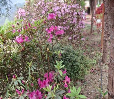 Turuk House | Himalayan Eagle Resort