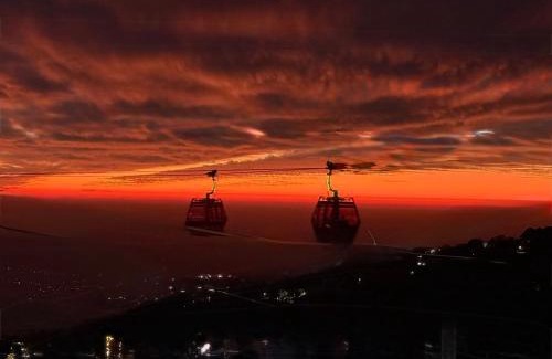 Dharamshala Bed & Breakfast | Himalayan Suite