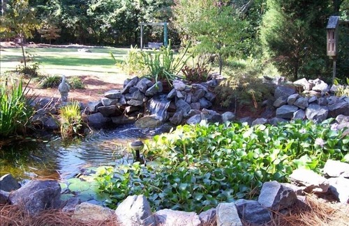 Old Town House | Historic District! Walk to village! Outdoor living space, huge yard! Hot tub!