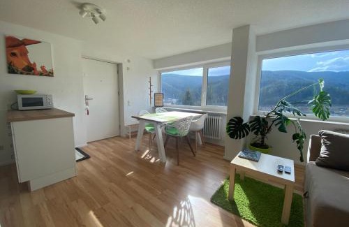 Neustadt Apartment | Hochschwarzwald Ferienwohnung