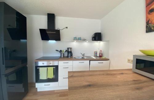 Neustadt Apartment | Hochschwarzwald Ferienwohnung