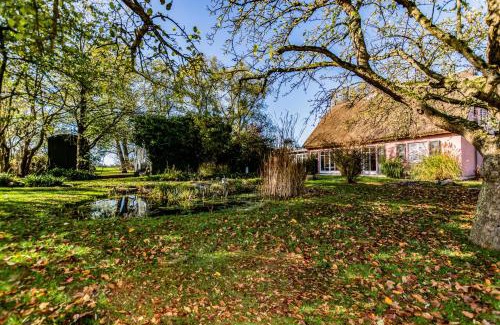 Renz Apartment | Hof Garz Wohnung Kräutergarten