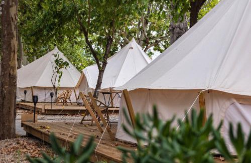 Daimuz Other | HolaCamp Gandía