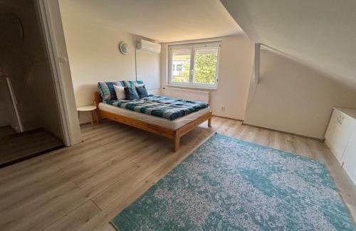 Miskolc-Tapolca Apartment | Holdviola 2 Apartman