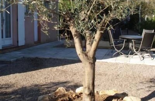 Agay Apartment | Holiday apartment Agay for 1 - 4 persons with 1 bedroom - Holiday apartment in one or multi-family h